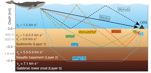 sound wave interaction from fin whale song