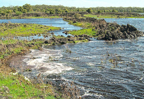 Stone fish traps