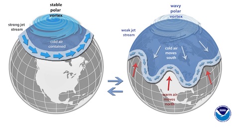 Polar vortices